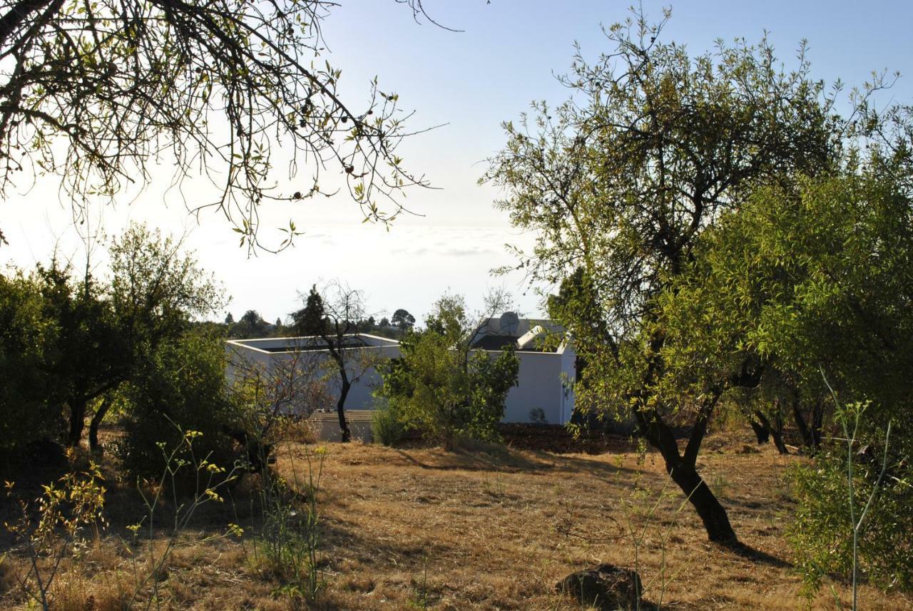 Villa Horizonte Puntagorda Dış mekan fotoğraf